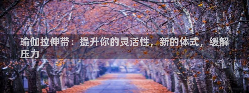 欧洲杯可以买冠亚军吗