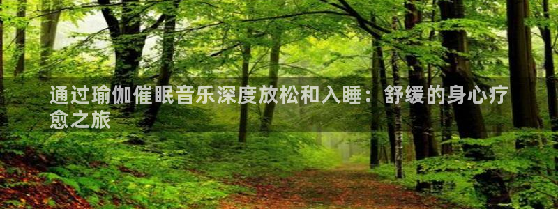 2024欧洲杯买球手机版