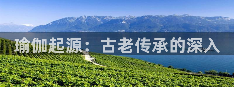 欧洲杯下单平台官网