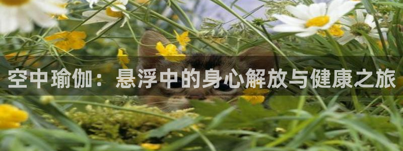 欧洲杯可以买冠亚军吗