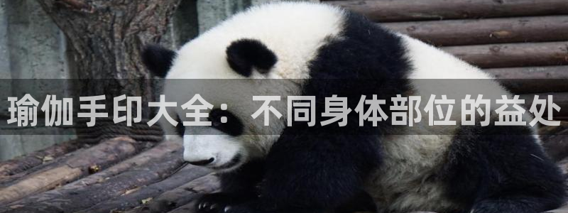 欧洲杯竞猜网站