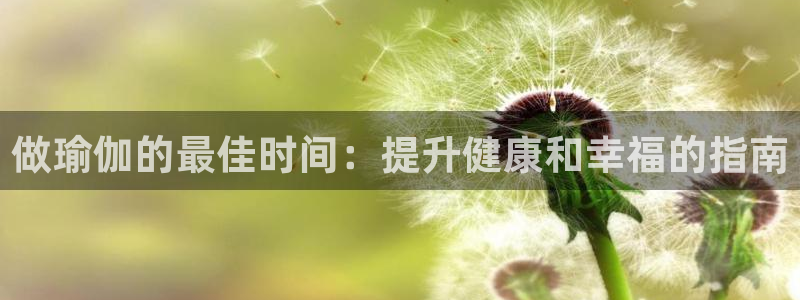 2024欧洲杯买球手机版