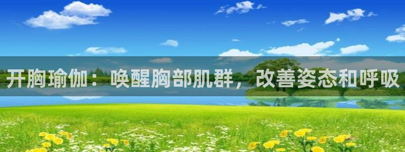 欧洲杯买球网