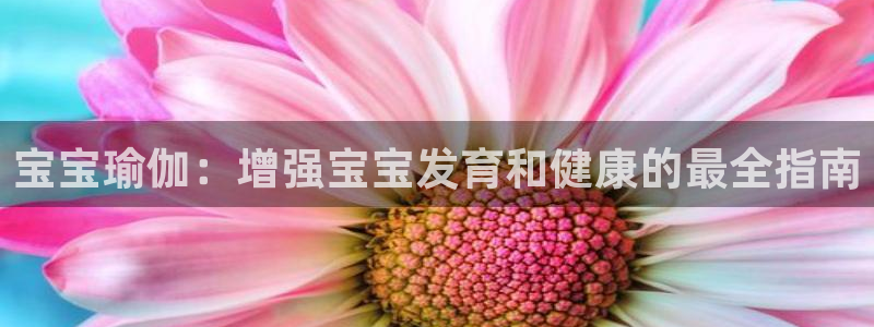 放心购买足球平台