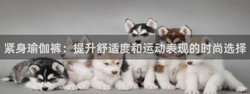 欧洲杯下单平台官网