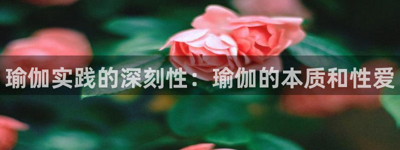 欧洲杯哪里买球靠谱