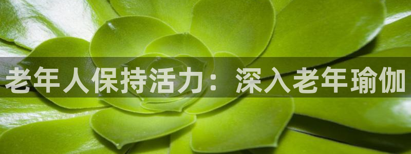 欧洲杯投注推荐网站