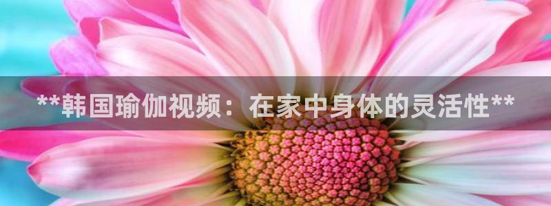 欧洲杯可以买冠亚军吗