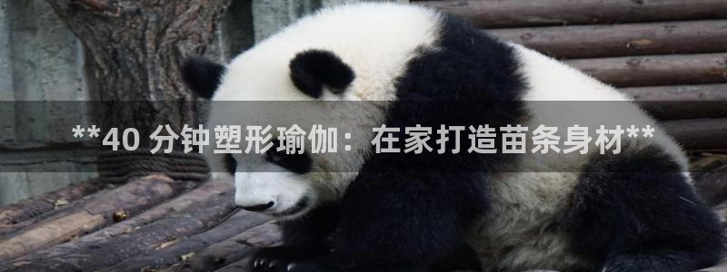2024欧洲杯竞猜网址