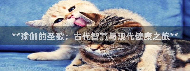 欧洲杯靠谱买球平台