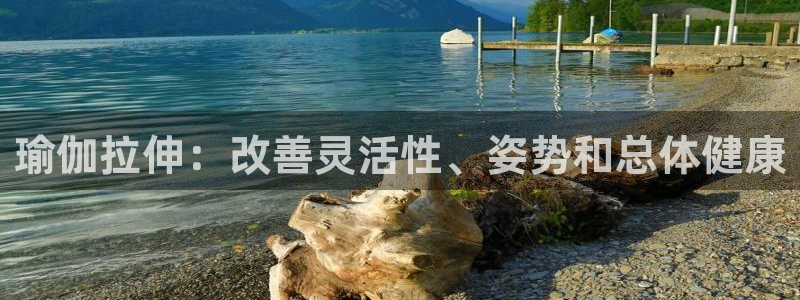 欧洲杯竞猜软件