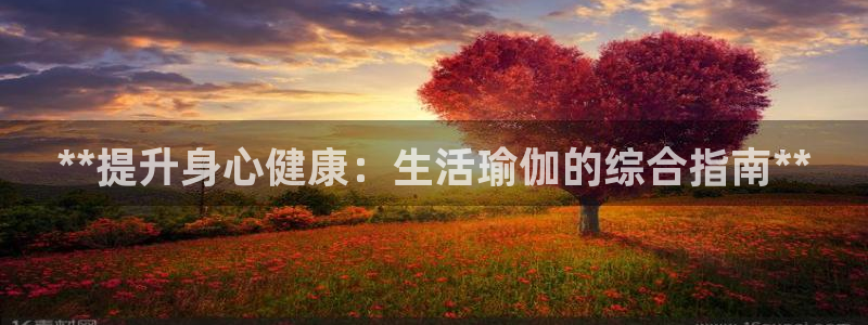 怎么买欧洲杯