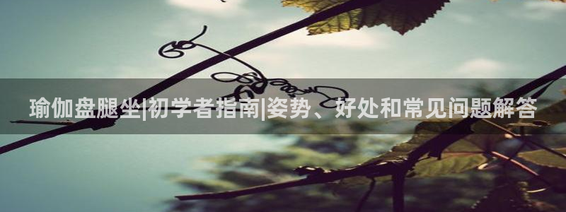 2024欧洲杯买球手机版