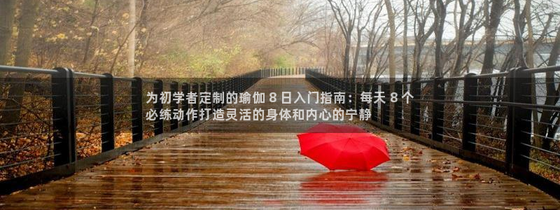 欧洲杯可以买冠亚军吗