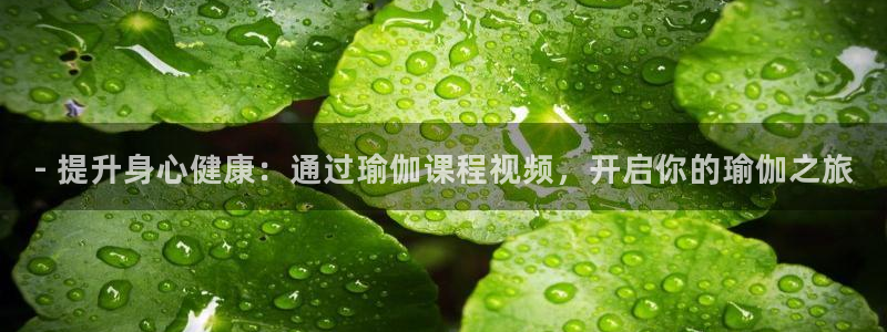 欧洲杯买球网
