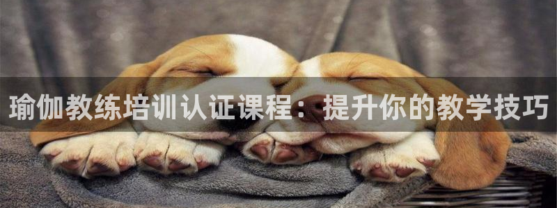 欧洲杯投注入口官网