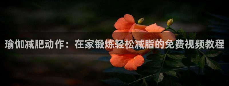 怎么买欧洲杯