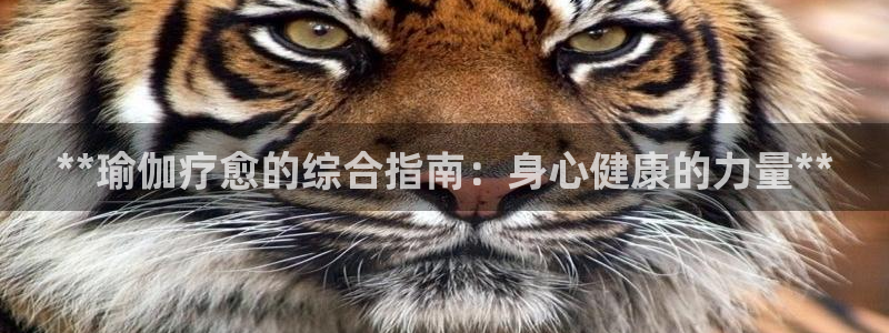 欧洲杯买足球软件