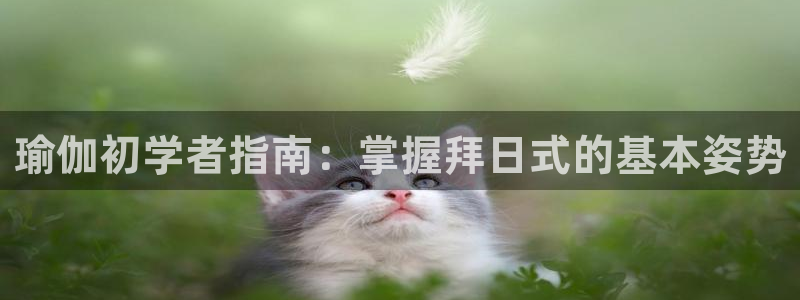 欧洲杯投注在哪找网址