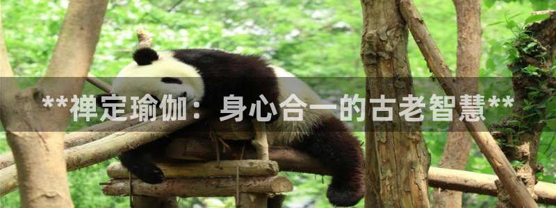 welcome欧洲杯开户