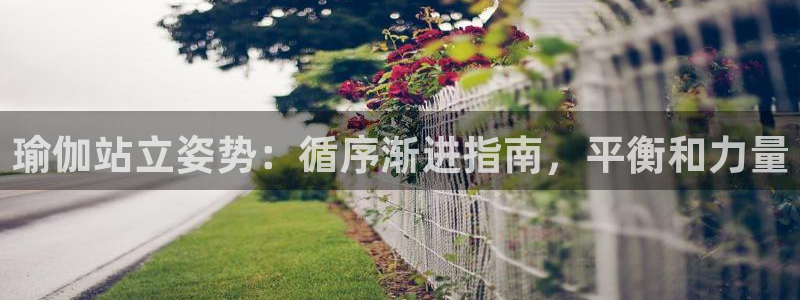 欧洲杯押注怎么买