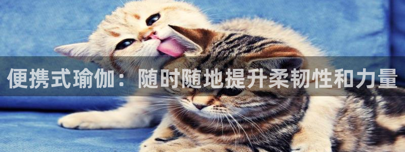 欧洲杯买球手机app