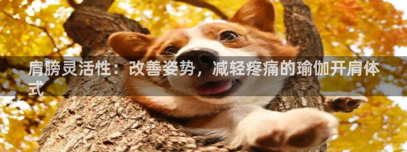 欧洲杯下单平台