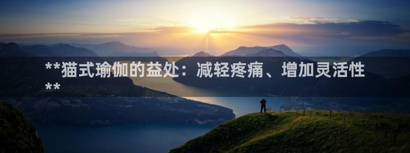 欧洲杯押注怎么买
