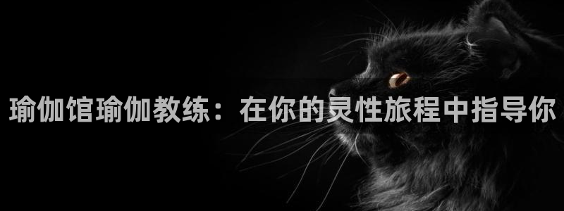欧洲杯最新赛程