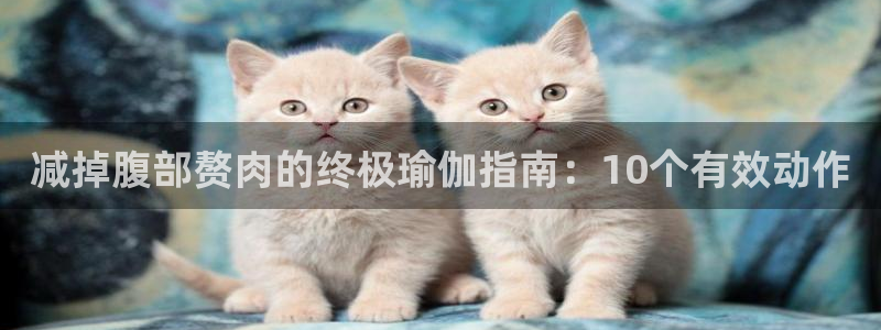 2024欧洲杯官方网站首页