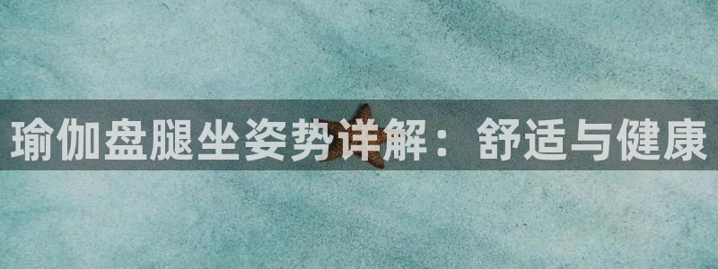 欧洲杯买球网