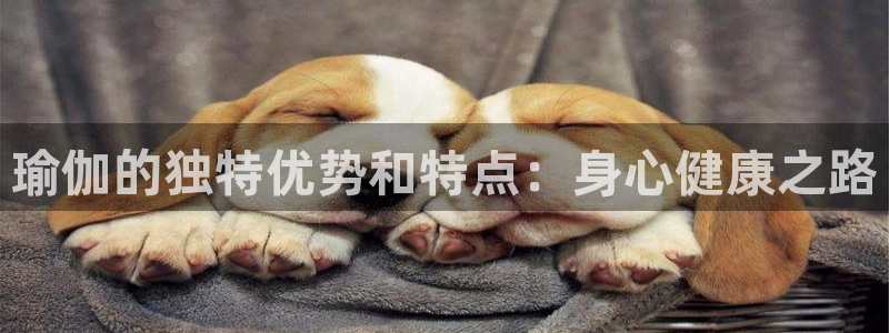 买球平台官方网站