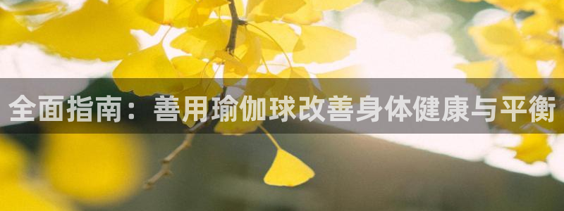 欧洲杯投注推荐网站