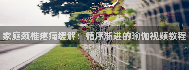 欧洲杯买球怎么买