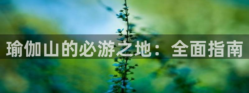欧洲杯彩票哪里买