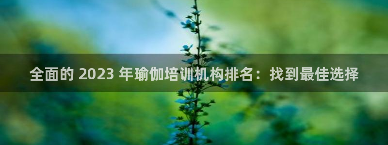 欧洲杯竞猜手机app推荐