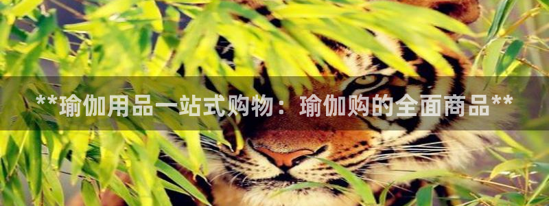 welcome欧洲杯