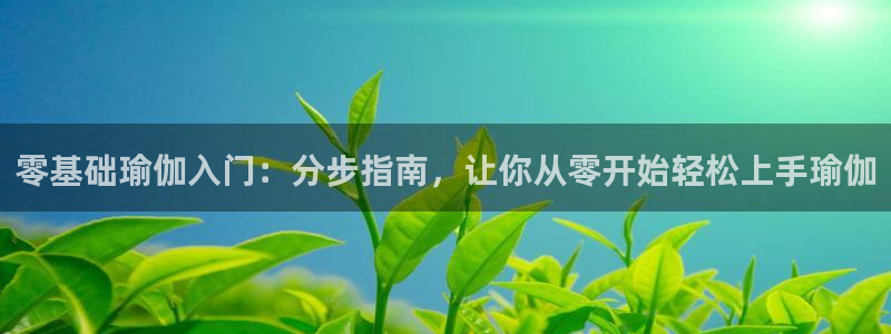 2024欧洲杯押注官网