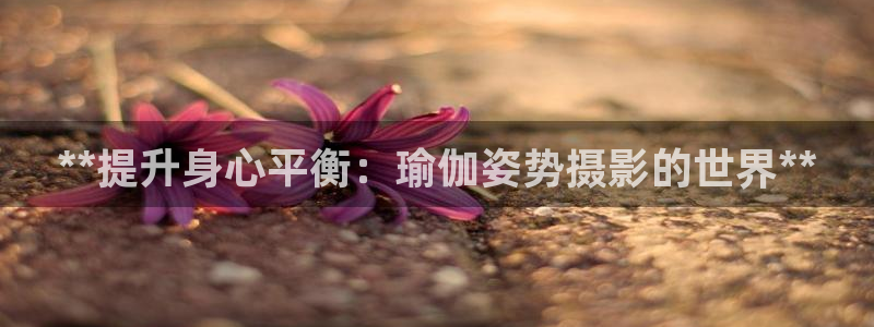 欧洲杯买足球软件有哪些