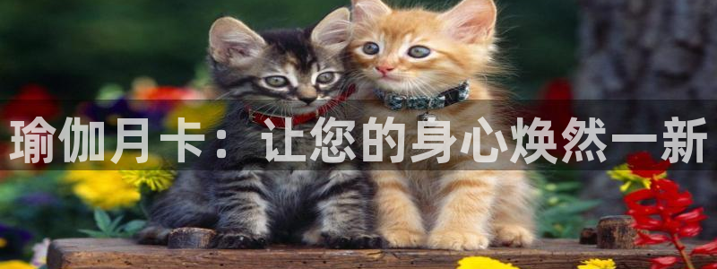 欧洲杯kaiyun