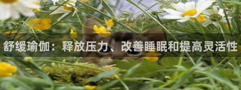 欧洲杯竞猜手机app推荐