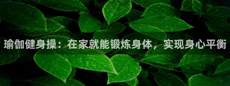 欧洲杯哪里买球靠谱