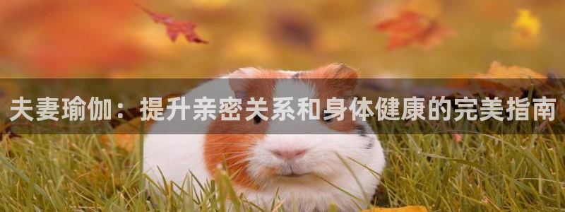 欧洲杯买注在哪买