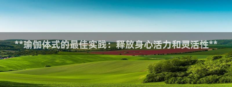 2024欧洲杯押注官网