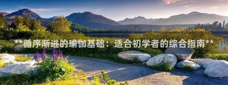 十大靠谱外围买球网站