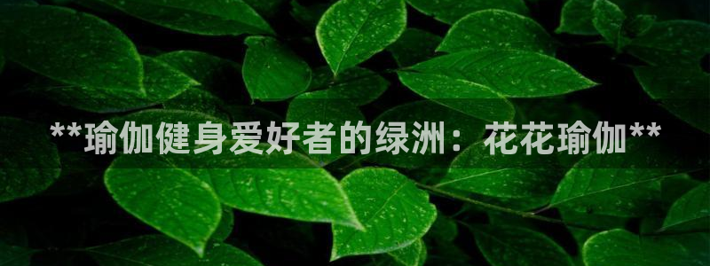 欧洲杯kaiyun