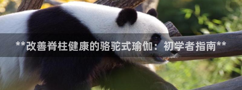 欧洲杯押注入口