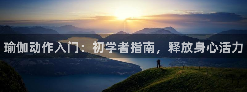 怎么买欧洲杯