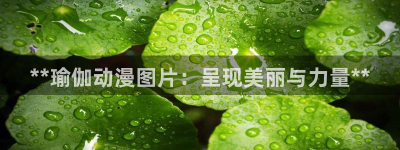 欧洲杯买球怎么买