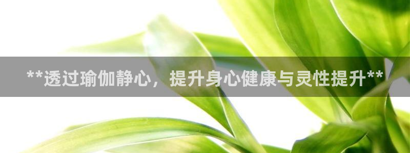 放心购买足球平台